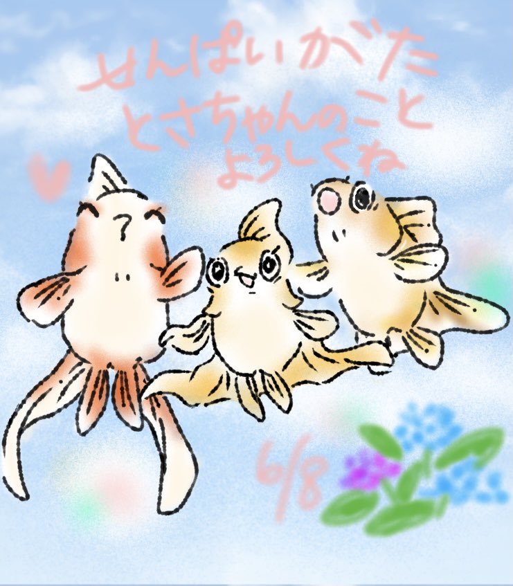 Concon9love's tweet photo. 6/8 とさちゃんをお迎えした日！
一年前の今日、真夏のように暑い日だったね☀️ ちぃ〜ちゃなあなたが泳ぐバケツを胸に抱えて感じた幸せな気持ち、今でも鮮明に思い出します。ありがとう。
かわいいとさちゃん。長生きさせてあげられなくて、ごめんなさい。また会いたいです。大好きです。 https://t.co/m2qvJlvDkB