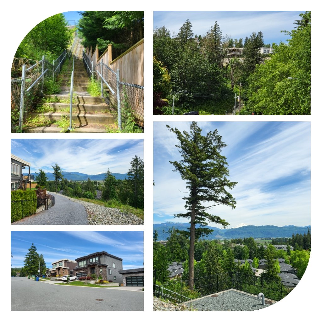 Weather was so nice out that I couldn't stop myself from taking a walk up this beautiful neighborhood near my branch during my lunch break