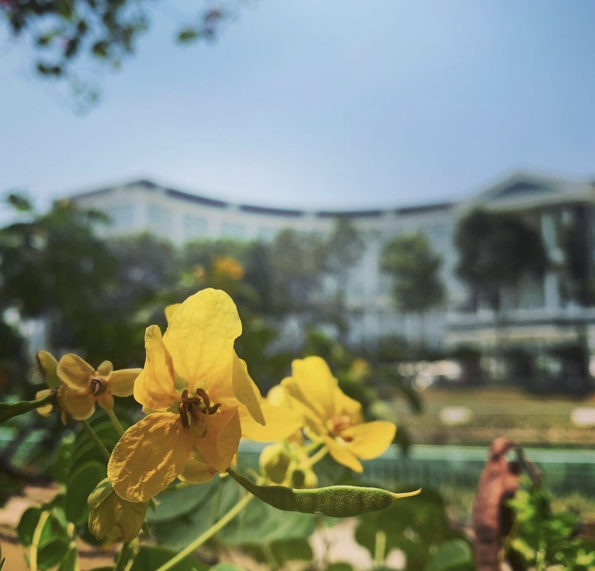 MichMcphers23's tweet image. “How lucky I am to have something that makes saying goodbye so hard.” – A.A. Milne (Winnie-the-Pooh) #goodbyeschoolyear #hellosummer #michelenainsaigon