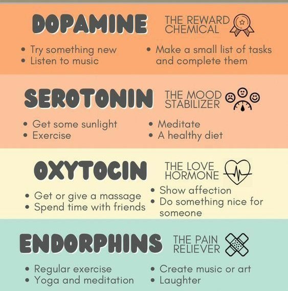Chinnarao_C's tweet photo. Hoe to hack HAPPY brain chemicals?
ఆనందాన్ని ఇలా కూడా పట్టుకోవచ్చు 👇
#Dopamine
#serotonin
#oxytocin
#endorphins
#happybrain #brain #happyhack https://t.co/scgcvwusd3