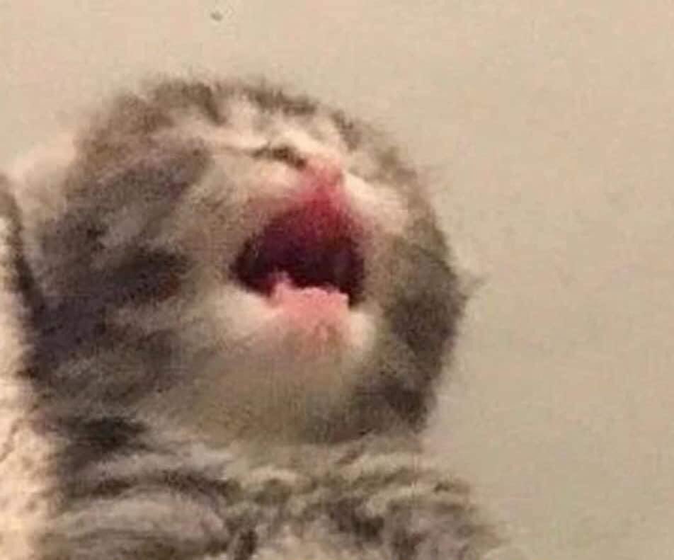 naaiiif8's tweet photo. YA VENGAN A MÉXICO @paramore AaaaaAA https://t.co/gaouM3fiYt