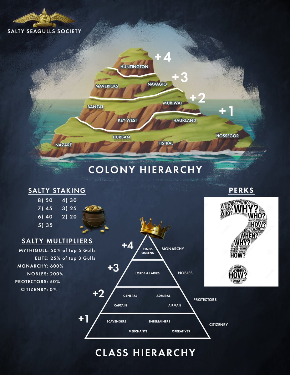 Salty Seagulls Society tweet media
