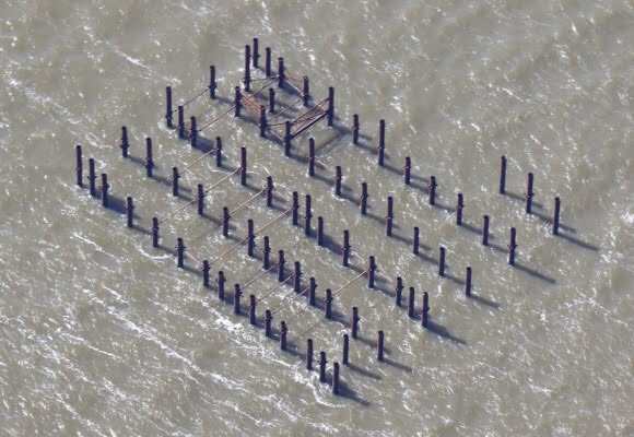 DrZenSato1's tweet photo. La costa de Montevideo según Capitalismo y Socialismo. https://t.co/Z2yl5Uvt7d