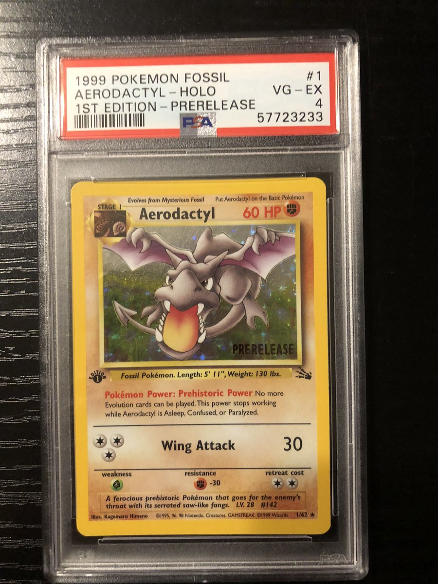 Pizza Turtle 🦠 tweet media