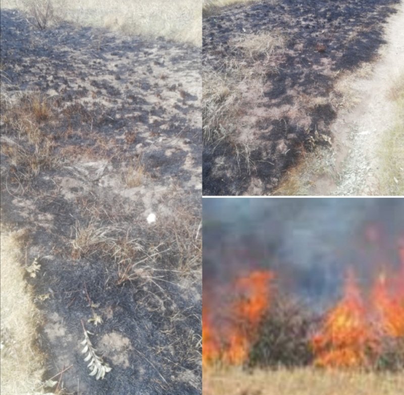 Its shocking to see someone burning bushes in an urban area. Why? What for? #WorldEnvironmentDay