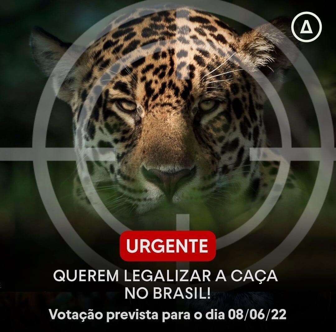 flaperez's tweet photo. #URGENTE • Querem liberar a caça no Brasil!
#todoscontraacaça https://t.co/3q3ZQdSm1L