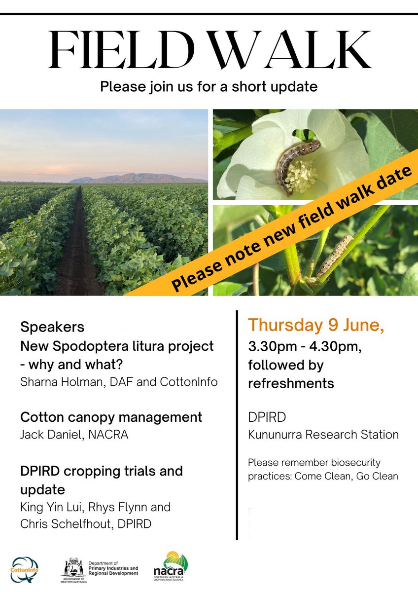 After 25mm of rain at the research station last week, ready for take two tomorrow! Excited to talk spodoptera litura under clear skies 🐛 #northerncotton #liturachat @DPIRDWA @DAFQld <a href="/CottonResearch/">CRDC</a> <a href="/CottonInfoAust/">CottonInfo</a> <a href="/NACRA_Kununurra/">Northern Australia Crop Research Alliance</a>