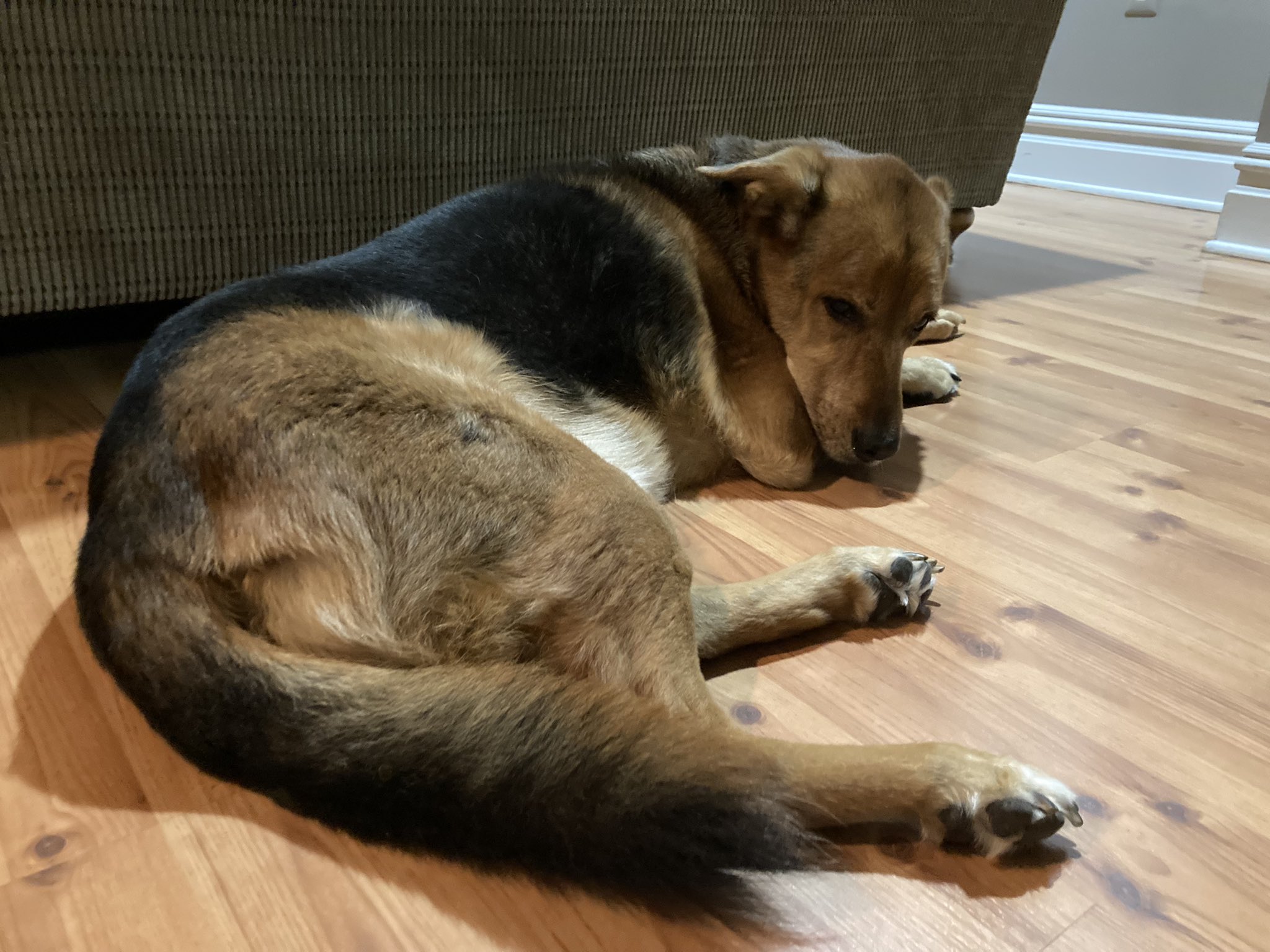 Thurman Munson would only have been turning 75 today?! Holy cow. Happy birthday to my sweet boy s namesake 