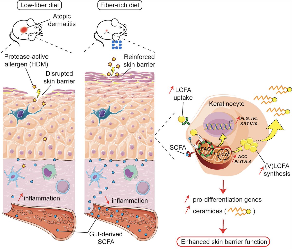 Ben Marsland tweet media