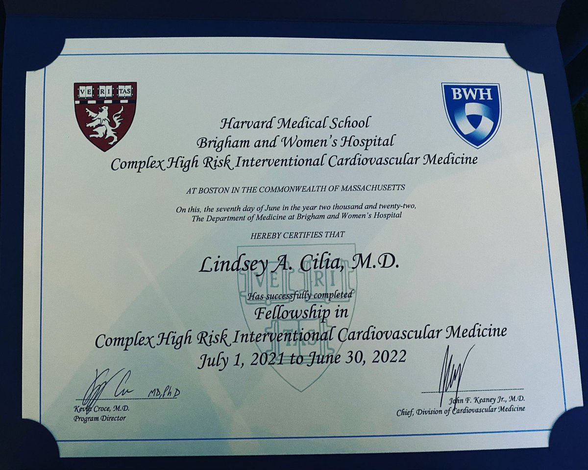 Lindsey Cilia tweet media