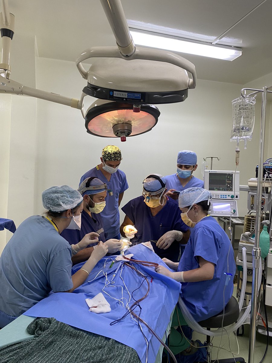 JoseJavierNuez9's tweet photo. Ciru pediátrica ❤️‍🩹🥰 https://t.co/8bWHpAzAPj