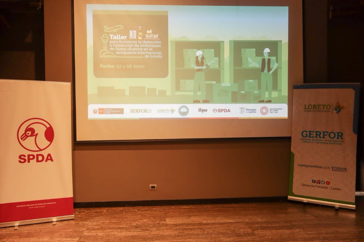 🔴#Hoy hemos iniciado el Taller para fortalecer la detección e inspección de fauna silvestre en el aeropuerto internacional de Loreto, junto con el <a href="/SerforPeru/">Serfor Perú</a> y @ForestalGorel, y con apoyo del Proyecto #OperaciónJaguar de <a href="/IFAW/">ifaw</a>.

#TráficodeFauna #AeropuertoIquitos
