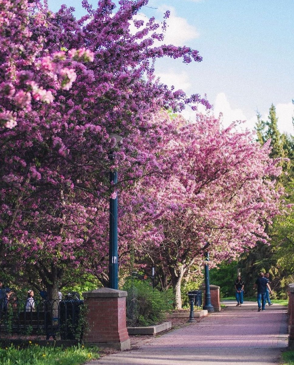 Blossom season sure is a treat! 🌸 #ExploreEdmonton

📸: DistrictEdmonton on IG
📸: S.Kay_Captures on IG
📸: TheRealYEGMeg on IG
📸: Phill.Pine on IG