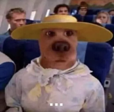 ana98h's tweet photo. *me llega notificación de mi reservación de vuelo después de hacer un twitter show down con Volaris* https://t.co/eN7WzG3mqs