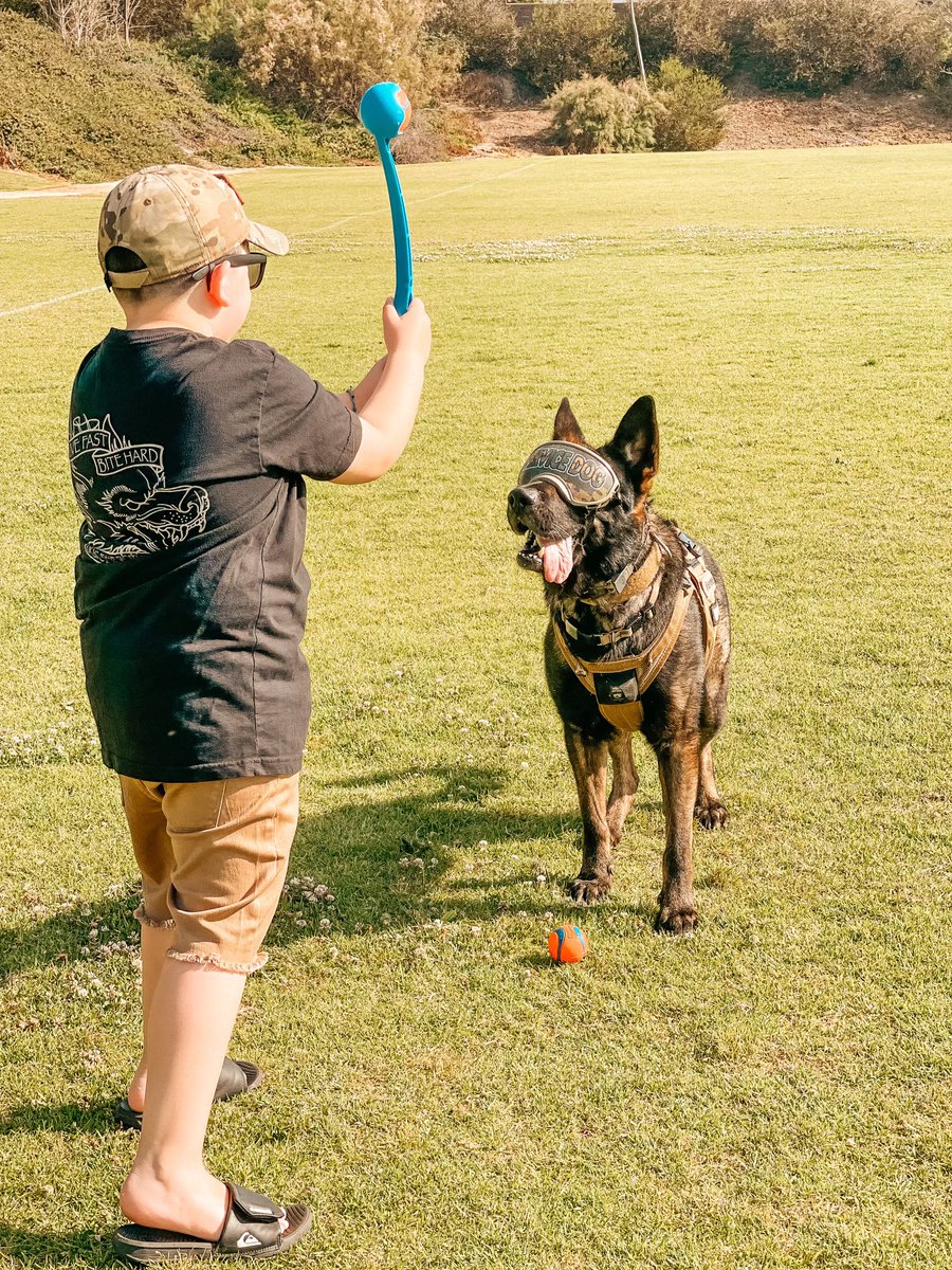 #tongueouttuesday is 🔥🔥🔥 Finally feeling that summer heat coming on in sunny San Diego! Be Safe!
*
*
#socal #local #SanDiego #california #autism #autistic #servicedog #adventureisoutthere #aboyandhisdog