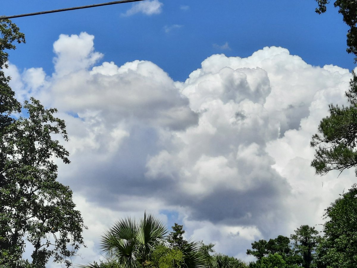 Nice #Cumulus #clouds rolled thru #JaxFL 6/7 #firstalertwx #StormHour #ThePhotoHour #AJSGArt #ViaAStockADay @WizardWeather @JAclouds @LensAreLive @luketaplin42 @EarthandClouds2 @PicPoet @tracyfromjax #photography @cloudymamma @AngelBrise1 @enjoyscooking #nature #flwx @WilliamBug4