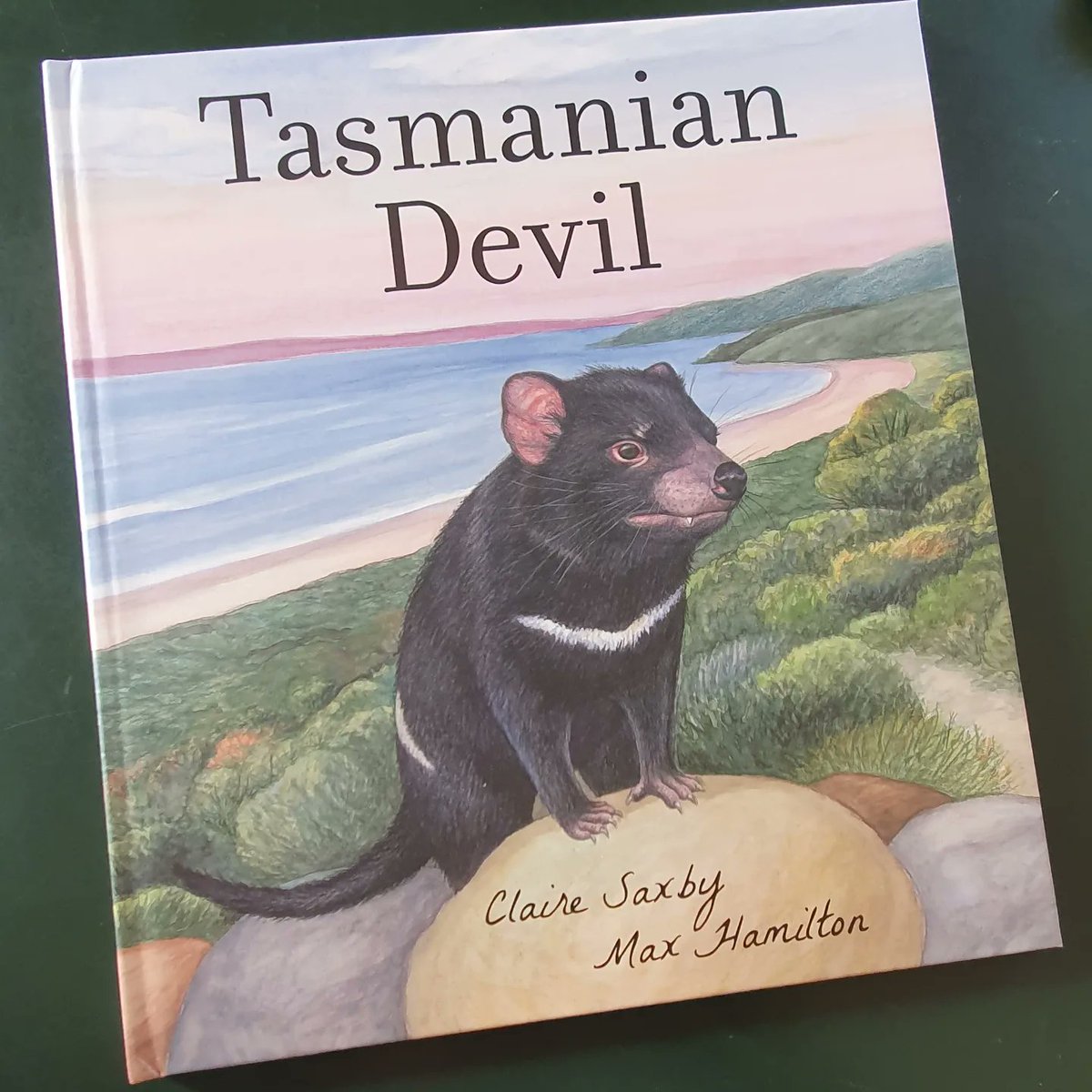 SaxbyClaire's tweet photo. We are having a Tasmanian devil writing and illustration competition to celebrate our new Nature Storybook. Pop over to https://t.co/EG2XVF3csv blog for details.
#maxhamilton @WalkerBooksAus https://t.co/q8wH34vfK6