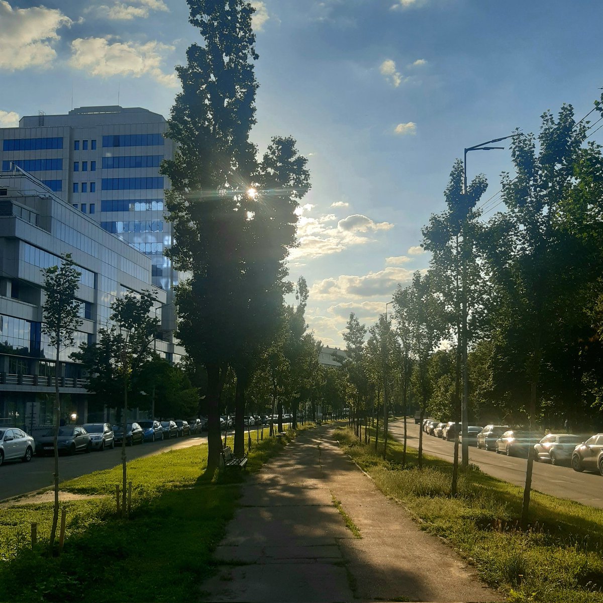 AxelPhuket's tweet photo. Good morning Kyiv 🇺🇦!
Skies are so blue and the air is so fresh. 
Don't take it for granted. This is how my day is beginning.
Have a nice one! ✌💙💛 https://t.co/fRf1IdknZA