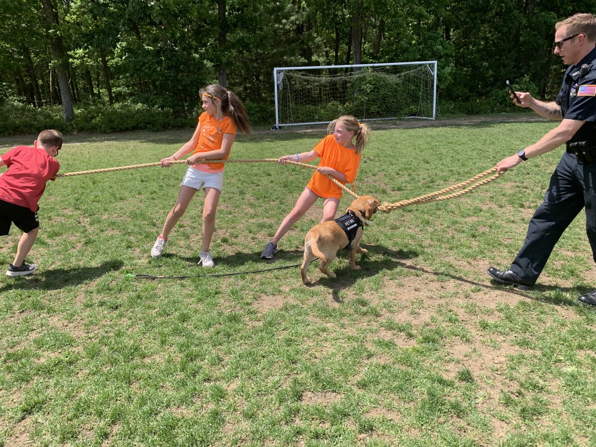 Officer Rusty fully participated in field day today! It was exhausting - all that playing &amp; swimming! #loveourcomfortdog