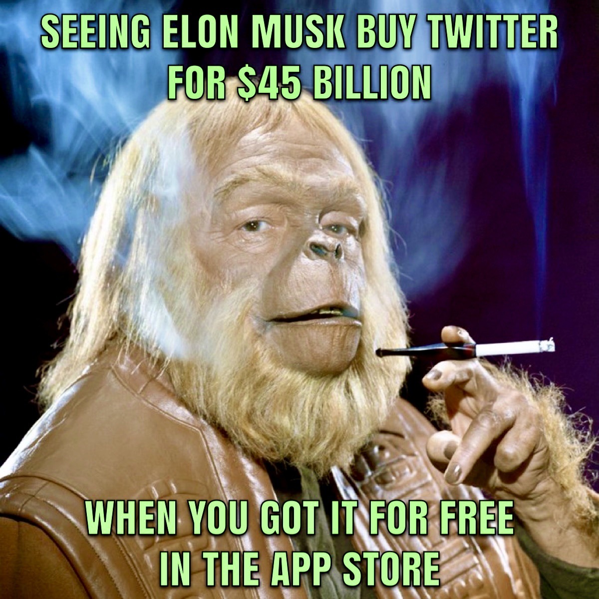 SDS ☮️ (@anadabyel) on Twitter photo 