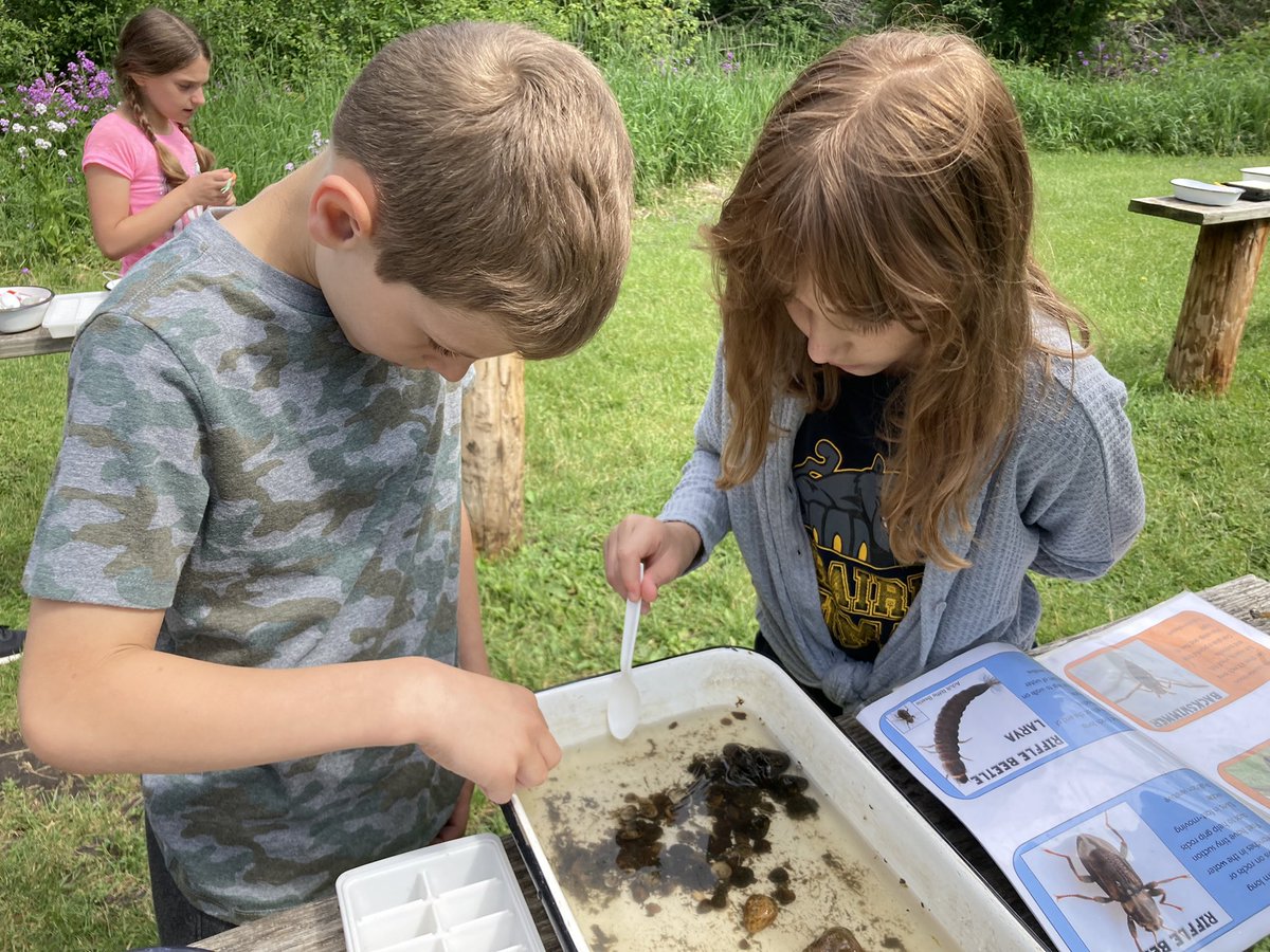 Kim Ferguson tweet media