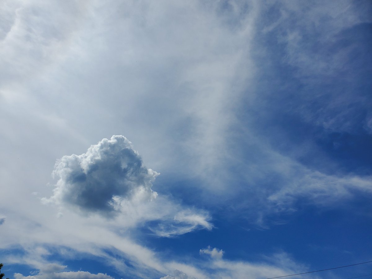 scotchprophet's tweet photo. @ThePhotoHour oh, man... just love this little guy.  🙂

stepped out into the back yard, looked up and saw this sunlit puff on a perfect blue background.

had to snap a few pics... #spring #cloud #photography #ThePhotoHour #StormHour https://t.co/EmiMGqTwRf