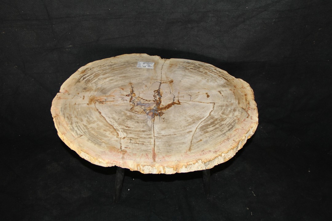 PetrifiedWoodKB's tweet image. Take a look at the luxury of the radiance reflected by the beauty of these petrified wood coffee table.

#luxuryhomes #sidetabledecor #stainlesssteel #wood #inspirational #charminghomes