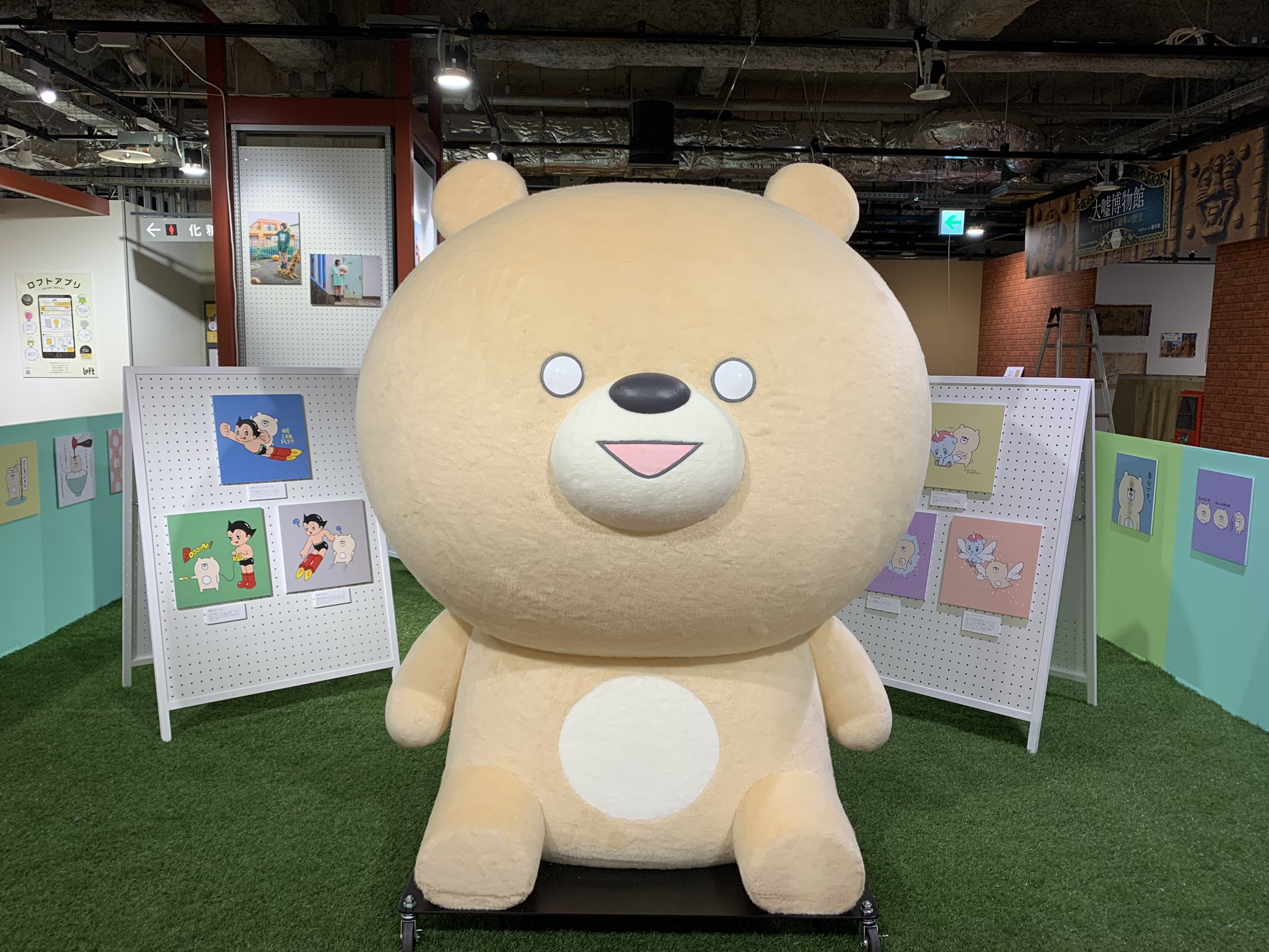 こまりくま Mr Kumatta Twitter