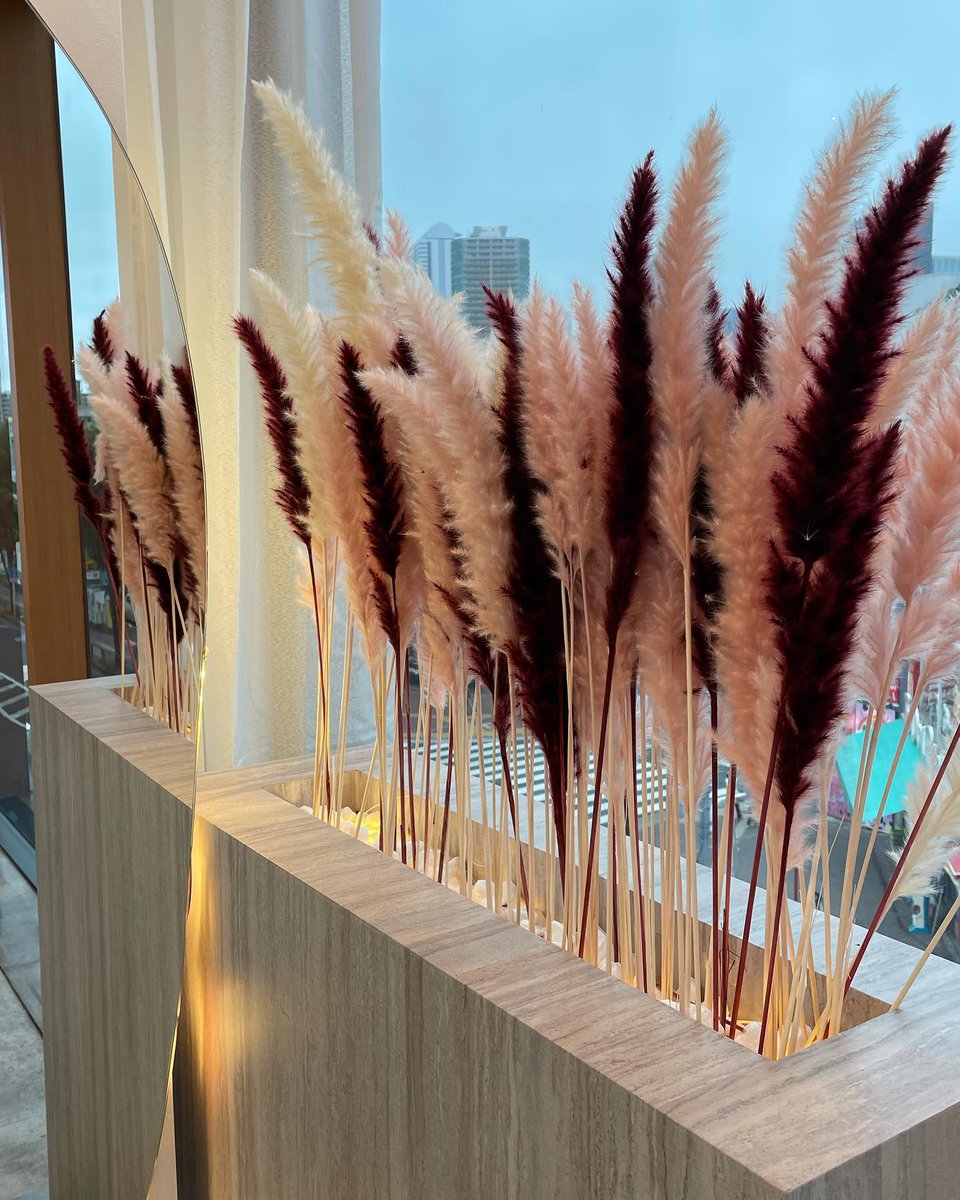 su_cham_33's tweet image. #時差すたぐらむ 
にも程がある　1年前☺️笑

失礼🤣

ange_9187xo と
ドットリンク

ドットって可愛いーーーーよね🤗
昔から好き💙💙
基本好きな物着たいけど
#linkcode で着てワチャワチャも好… instagram.com/p/CefDl_-P2a7/