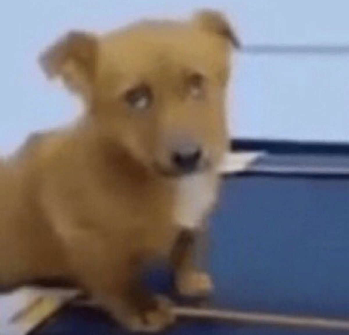 Guarromantico_'s tweet image. Yo en la fiesta creyendo que la canción que puse es la mejor pero nadie la pela y la quitan a los 20 segundos.