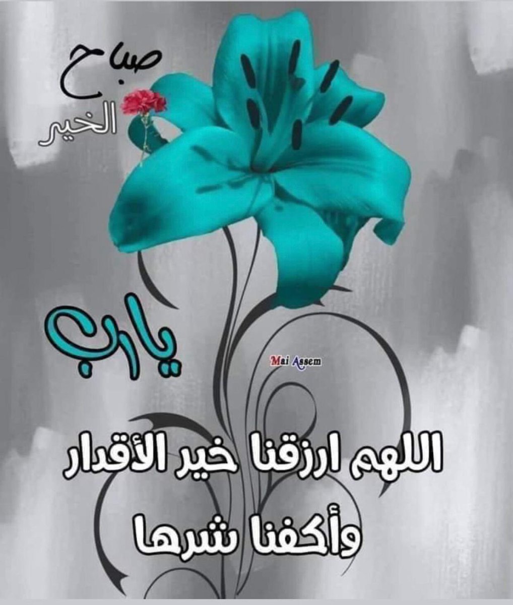 الطير المهاجر (@muntaser125mun1) on Twitter photo 