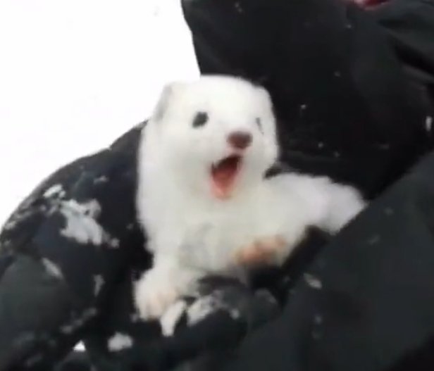 쟈쟈 (@zztbxx) on Twitter photo 