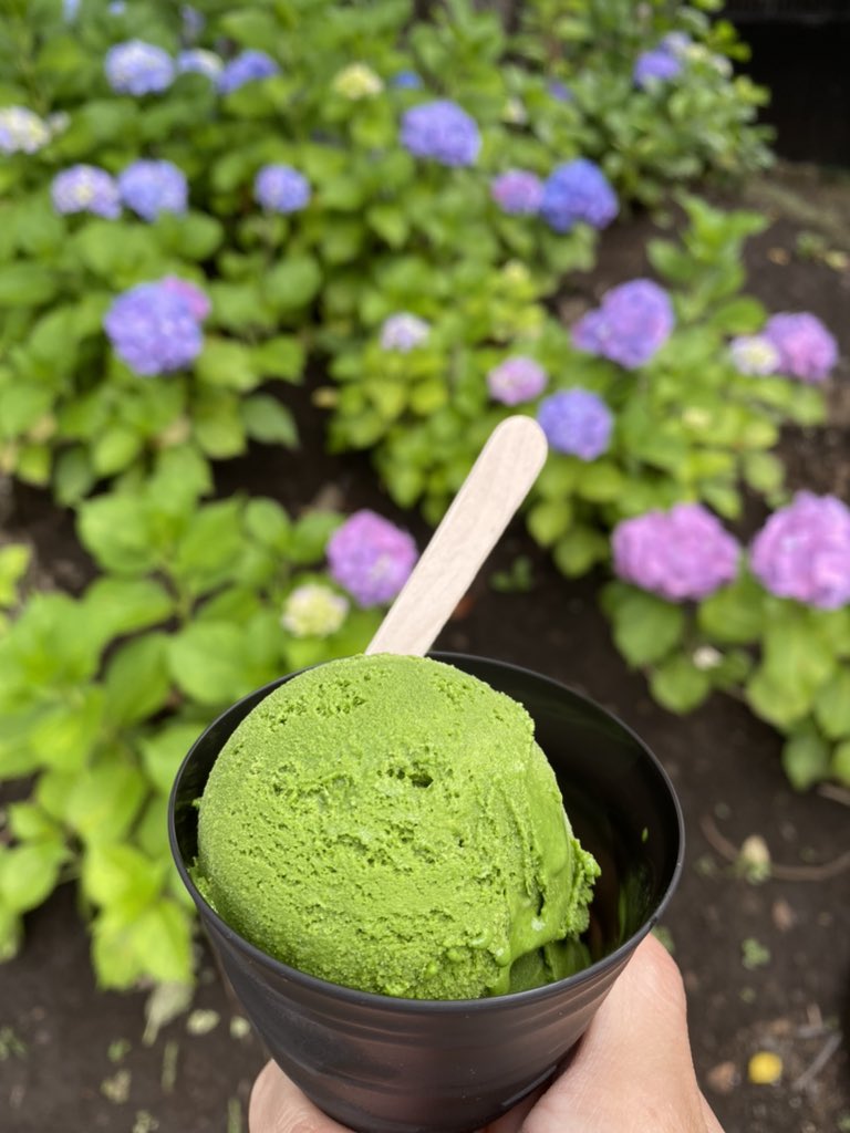 3K_verdy's tweet image. 緑は、いくら取り込んでも足りないのよ
#LevelMAX #鎌倉茶々