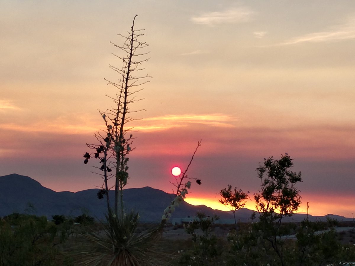 allthedatas's tweet image. Tonight&apos;s sunset courtesy of smoke from wild fires.