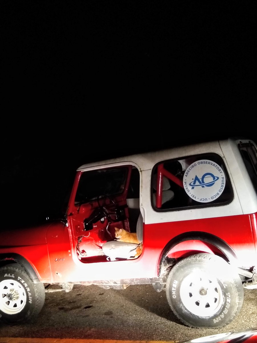 Mars, the Observatory's new driver. <a href="/ObservatoryCats/">Observatory Cats</a>