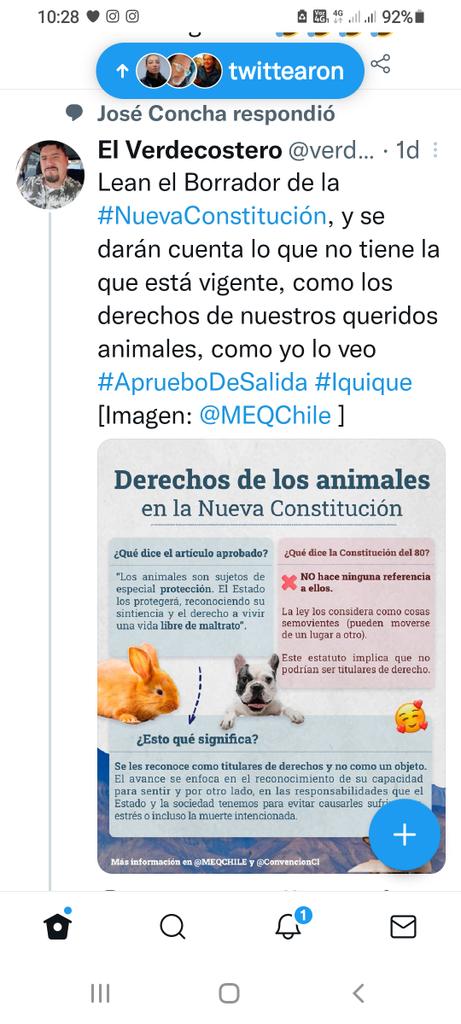 javitto1972's tweet photo. Este no es más wueon por qué no se presentó a presidente antes que el MERLUZO...o sino queda ...🤣🤣🤣🤣🤣🤣🤣#rechazodesalida https://t.co/g02VIQMp2o