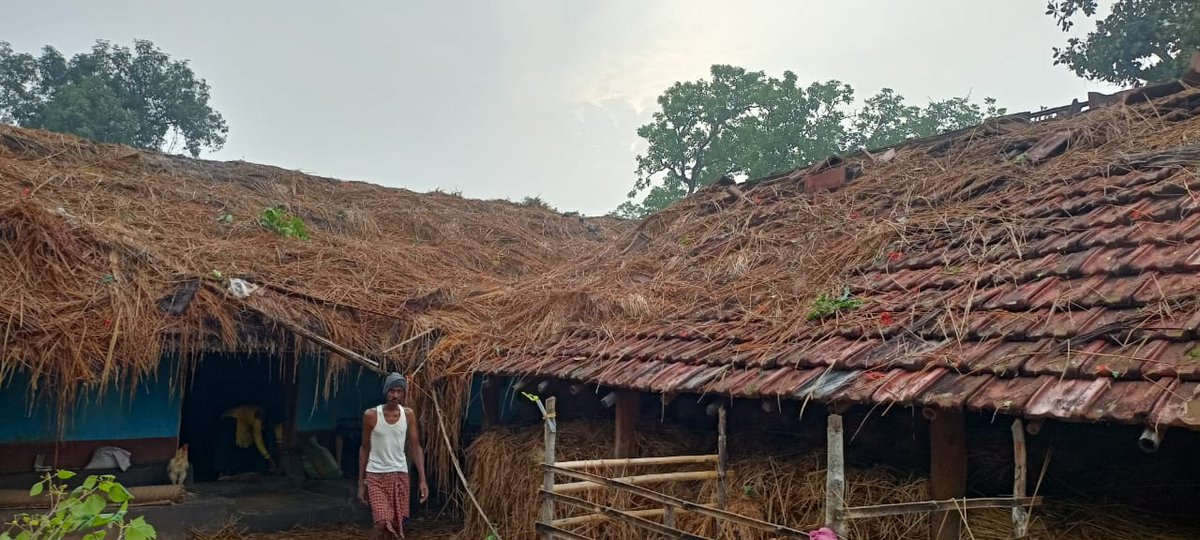 LaxmidharSingh8's tweet photo. @BdoKaptipada @DM_Mayurbhanj ସାର, ଗତକାଲି  ଅଚାନକ ଆସିଥିବା କାଳବୈଶାଖୀର ପ୍ରଭାବରେ କାଦବାହାଳୀ, ମାରାଂସାହି, ଶରତ ଗ୍ରାମ ପଞ୍ଚାୟତ, କପ୍ତିପଦା ବ୍ଲକର ୭ ଗୋଟି ପରିବାରର ଘର ଭାଙ୍ଗି ଯାଇଛି। ଦୟାକରି ଆପଣଙ୍କର ଅଧିକାରୀଙ୍କୁ ଉପଯୁକ୍ତ ରିଲିଫ ଏବଂ କ୍ଷତିପୂରଣ ଦେବାକୁ ନିର୍ଦ୍ଦେଶ ଦିଅନ୍ତୁ। https://t.co/wRwRBRwFjN