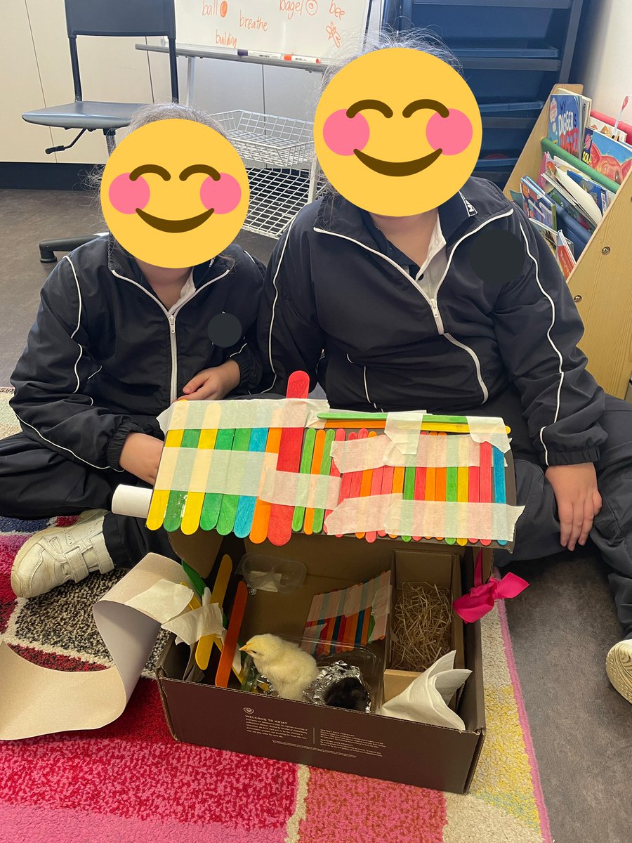 MissParoz's tweet photo. 3/4M have been learning about properties of materials and how they effect it’s use… I had two baby chicks who needed homes and the students had to build chicken coops using materials from home! The conversations and learning were incredible to watch- such a highlight🤩#acuedu_p https://t.co/II039M0Nys