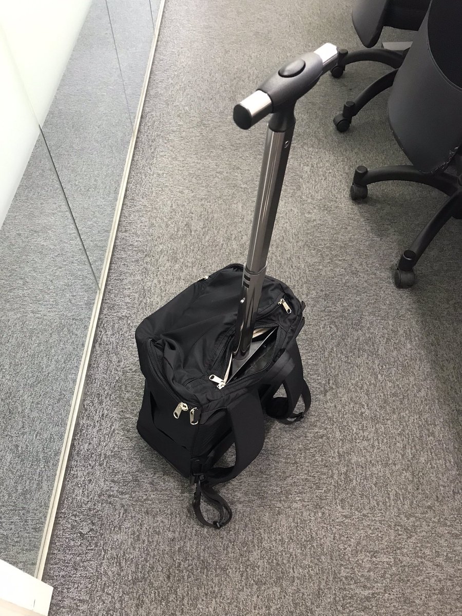 特価】さんぽセル 新品 移動用品 | chris.tselebis.com