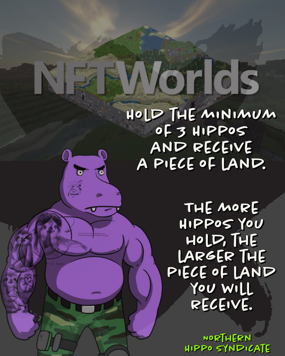 HippoSyndicate 🧱 tweet media