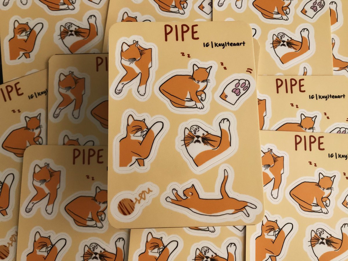 $5 excl shipping! DM to purchase 🐈