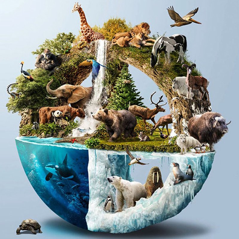 ClintoneBill's tweet photo. "Nature doesn't need us for its existence we need Nature to live so save yourself by saving nature." 
Protect The Earth,Protect  Nature,Protect Humanity.
#ClimateEmergency #SaveSoil #FridaysForFuture #ClimateActionNow #ExtinctionRebellion #ActNow https://t.co/khb7WpUSiI
