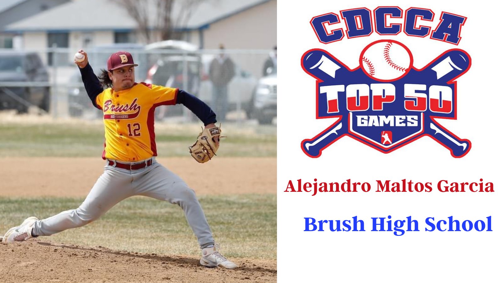 Brush Beetdigger Baseball (brush_baseball) / Twitter