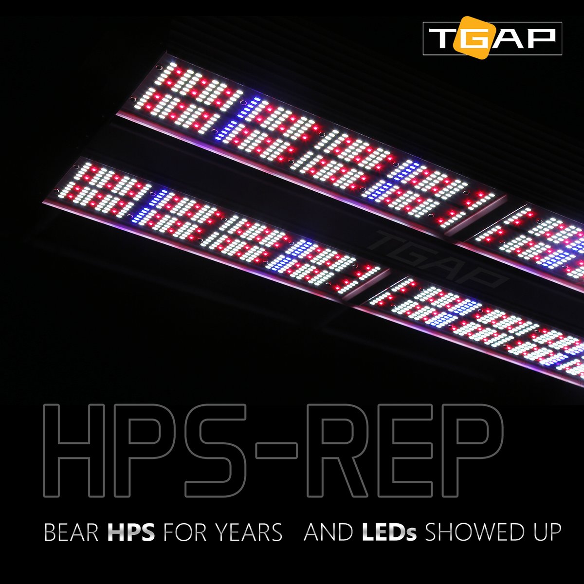 GalenYang4's tweet photo. No more hustle switching to #LED from #HPS.
Designed in 2021, HPS-REP SERIES is built and tested with craftsmanship. Loaded with impressive 2210 µmol/s output and advanced spectrum design, #TGAP is committed to bringing the horticultural lighting system more possibilities. https://t.co/gzxAjCz0Yo