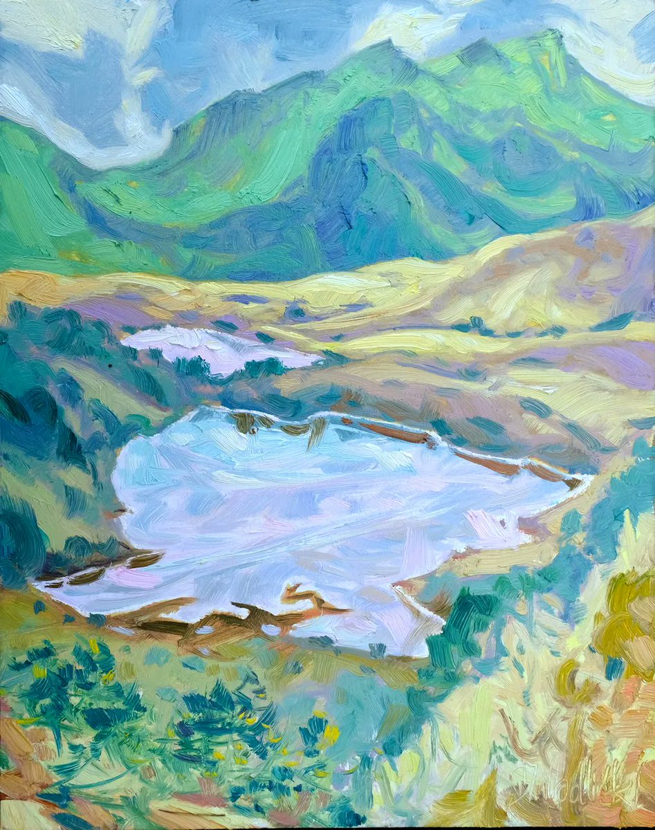 dominikjm's tweet photo. I am painting at 4000m my first plein air work in Cayambe Coca Ecological Reserve, east of Quito, Ecuador.
14" x 11" oil on board.
Available.
#pleinairpainting #pleinairpainter #alpinepainting  #outdoorpainter  #goodtimesoutside #landscapepainting #artistsofinstagram #instaart https://t.co/lIPBX0aHOM