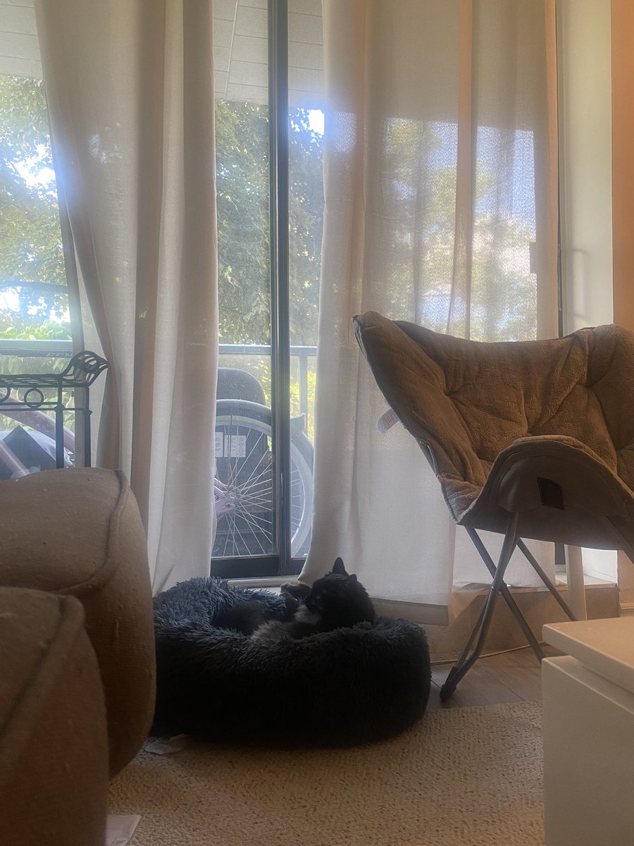 hensadventures's tweet photo. This is the life https://t.co/sO3AT0XVZW