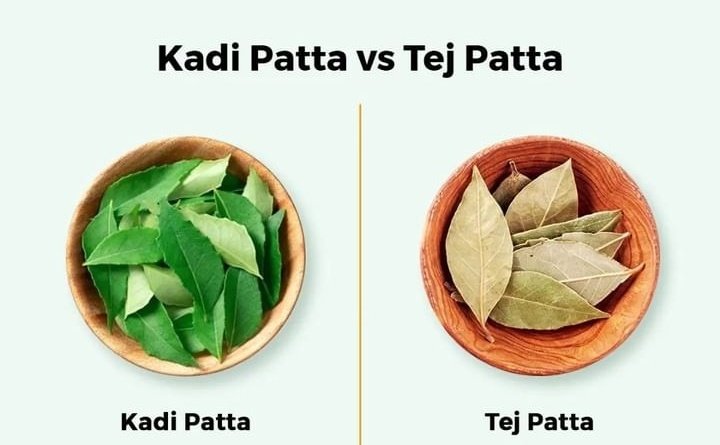 legittwitbro's tweet photo. I want to hear this... A kab hoga....

🤣 🤣 🤣 https://t.co/Kvrheo14Hj