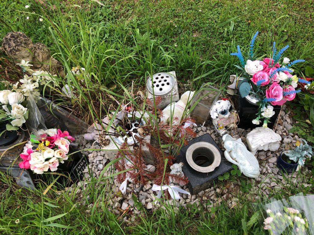 Shana Roberts (@sh_oberts) on Twitter photo This is the current state of the memorial at Longden Road Cemetery in Shrewsbury. To many who lost their babies at the hospital this us the only place they have to acknowledge this loss, including my mum. They deserve more than this. <a href="/ShropCouncil/">Shropshire Council</a> <a href="/ShropshireStar/">Shropshire Star</a> This is the current state of the memorial at Longden Road Cemetery in Shrewsbury. To many who lost their babies at the hospital this us the only place they have to acknowledge this loss, including my mum. They deserve more than this. <a href="/ShropCouncil/">Shropshire Council</a> <a href="/ShropshireStar/">Shropshire Star</a>