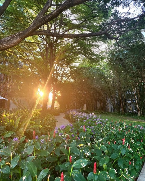 Nature heals like nothing else – morning walks in our tropical gardens are truly therapeutic. @khinehsuw captures a particularly magical moment.

#FeelTheRemarkable #ChatriumRiverside #chatrium #Garden