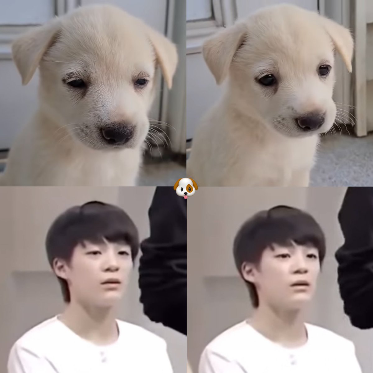 진짜 똑같이생겻어…..